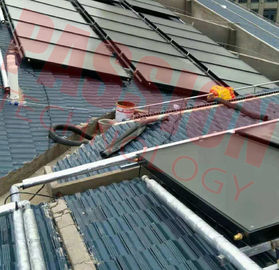 Cuivre à panneau plat à énergie solaire de rouge de capteur solaire de chauffe-eau de dessus de toit à énergie solaire